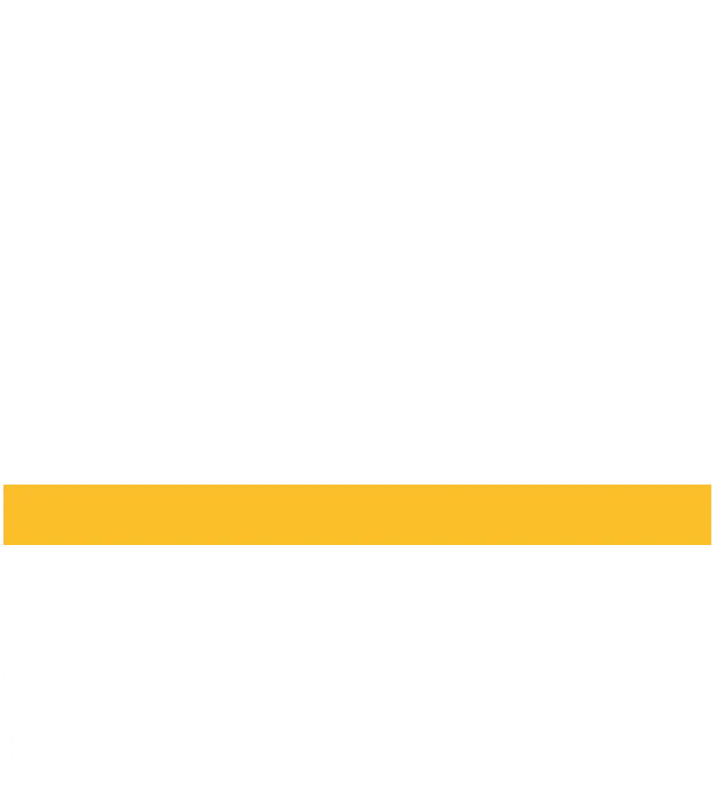 AuctioneerNet